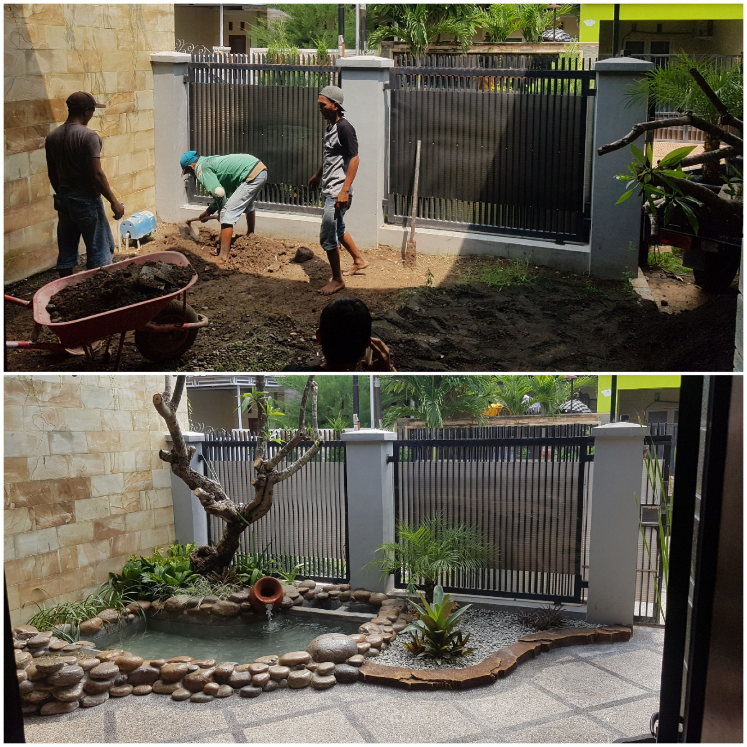 kolam koi pohon lindung