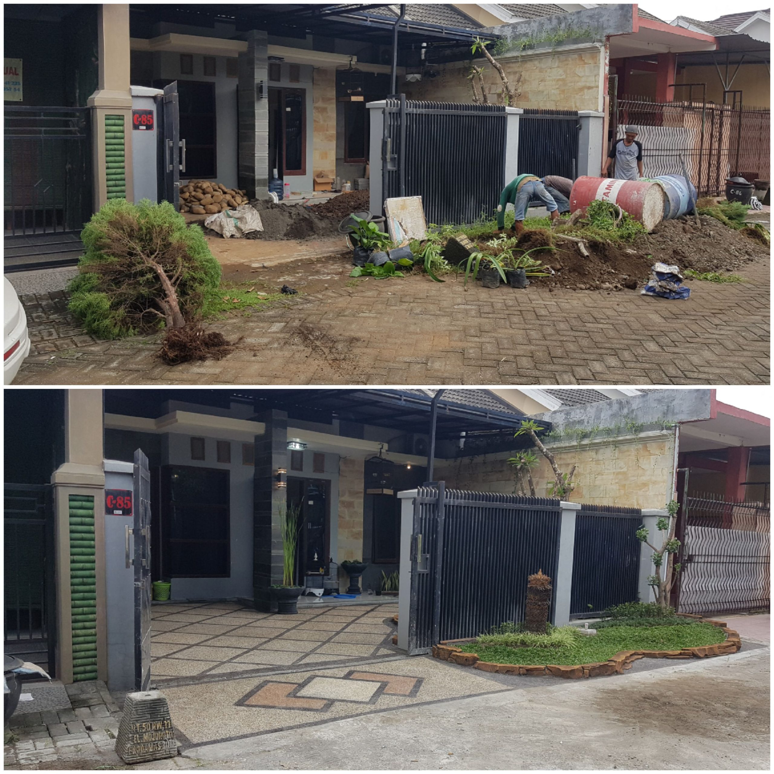 batu sikat pohon lindung