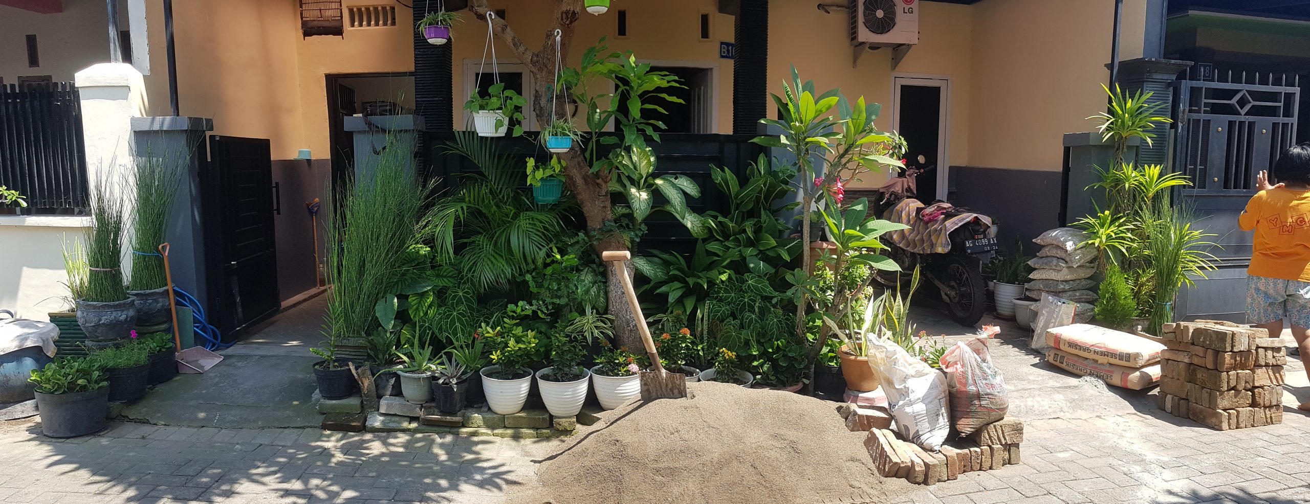 taman pohon lindung