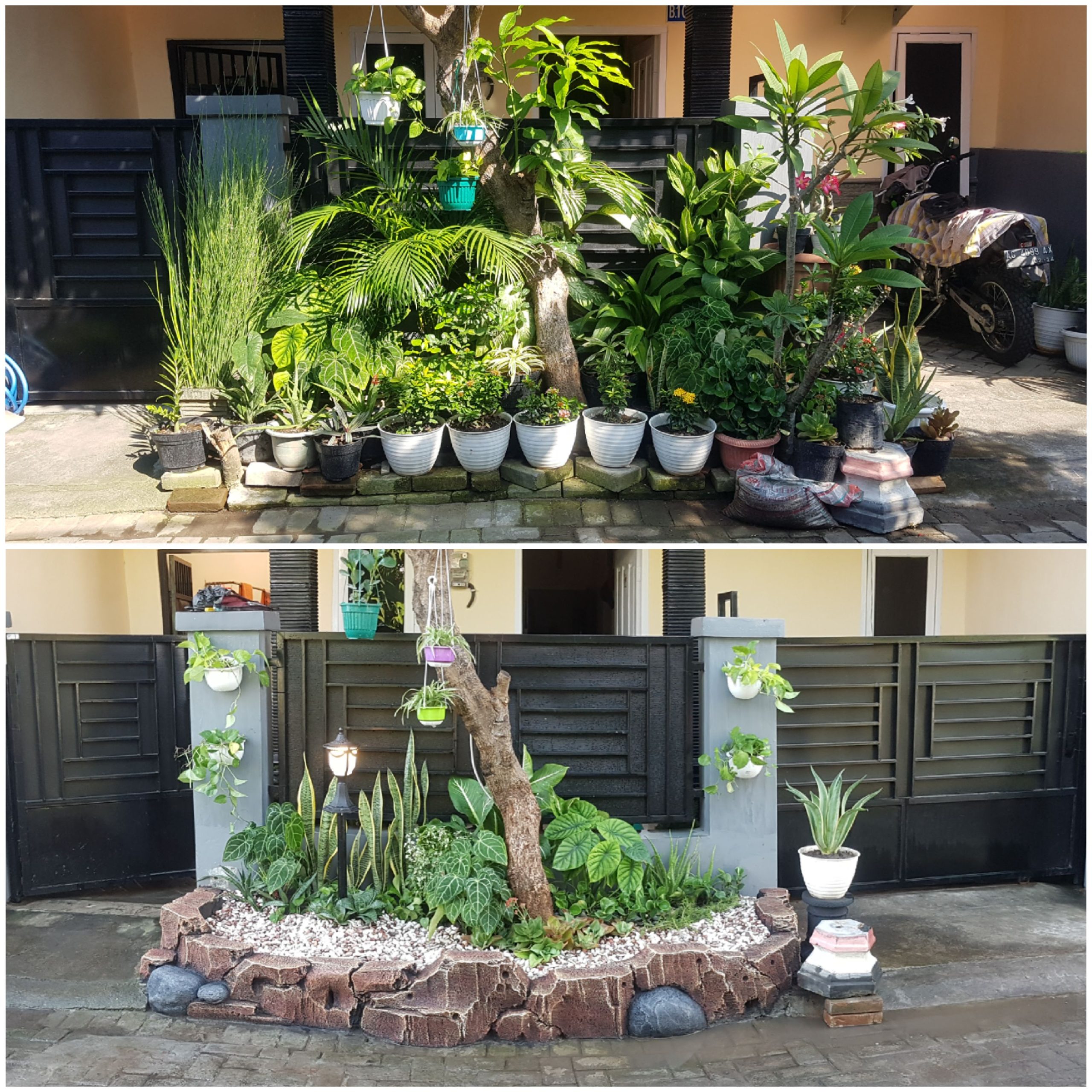 taman pohon lindung
