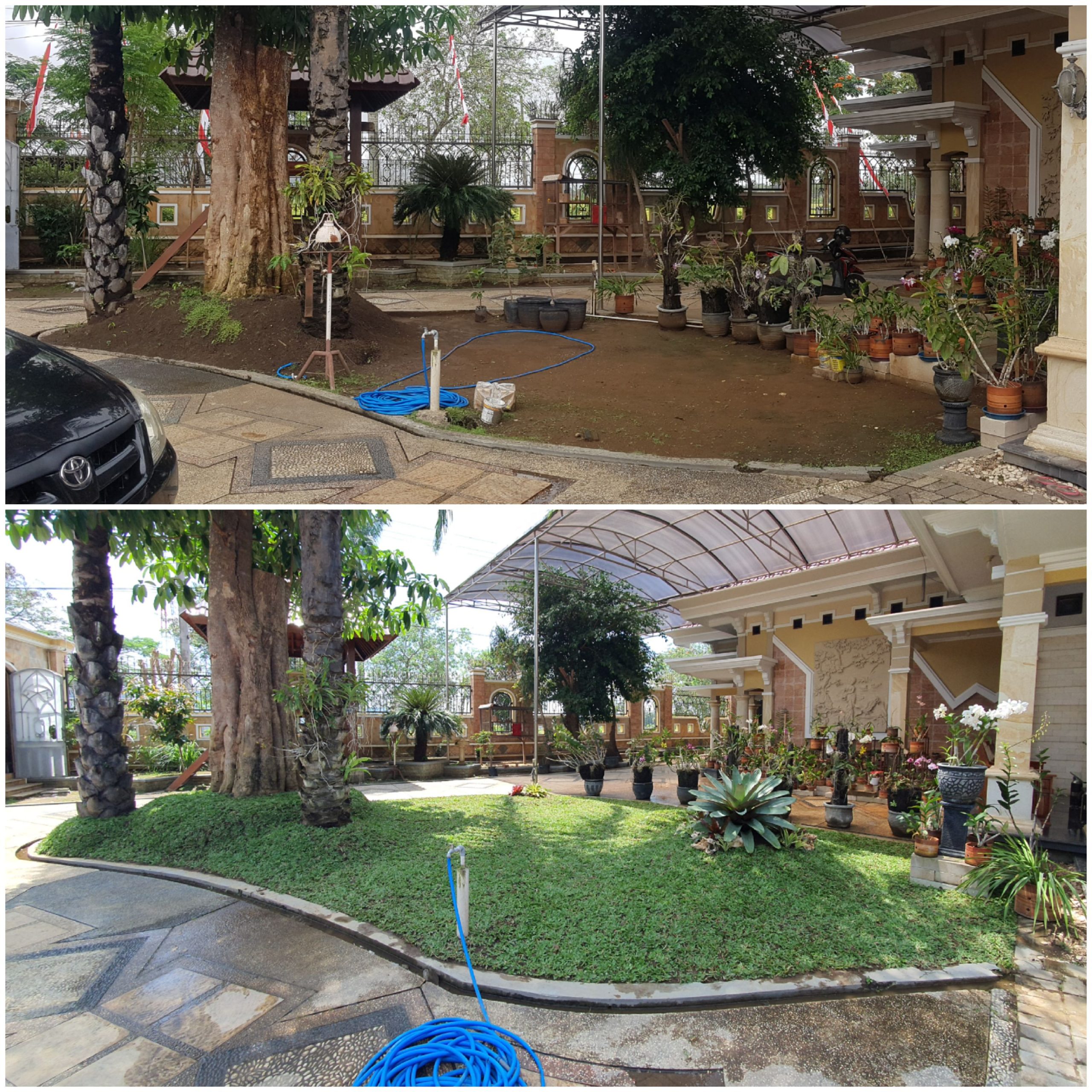 taman pohon lindung