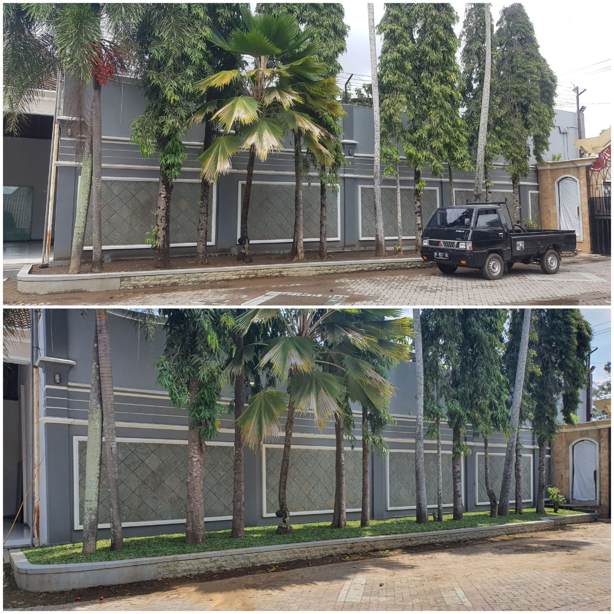 taman pohon lindung