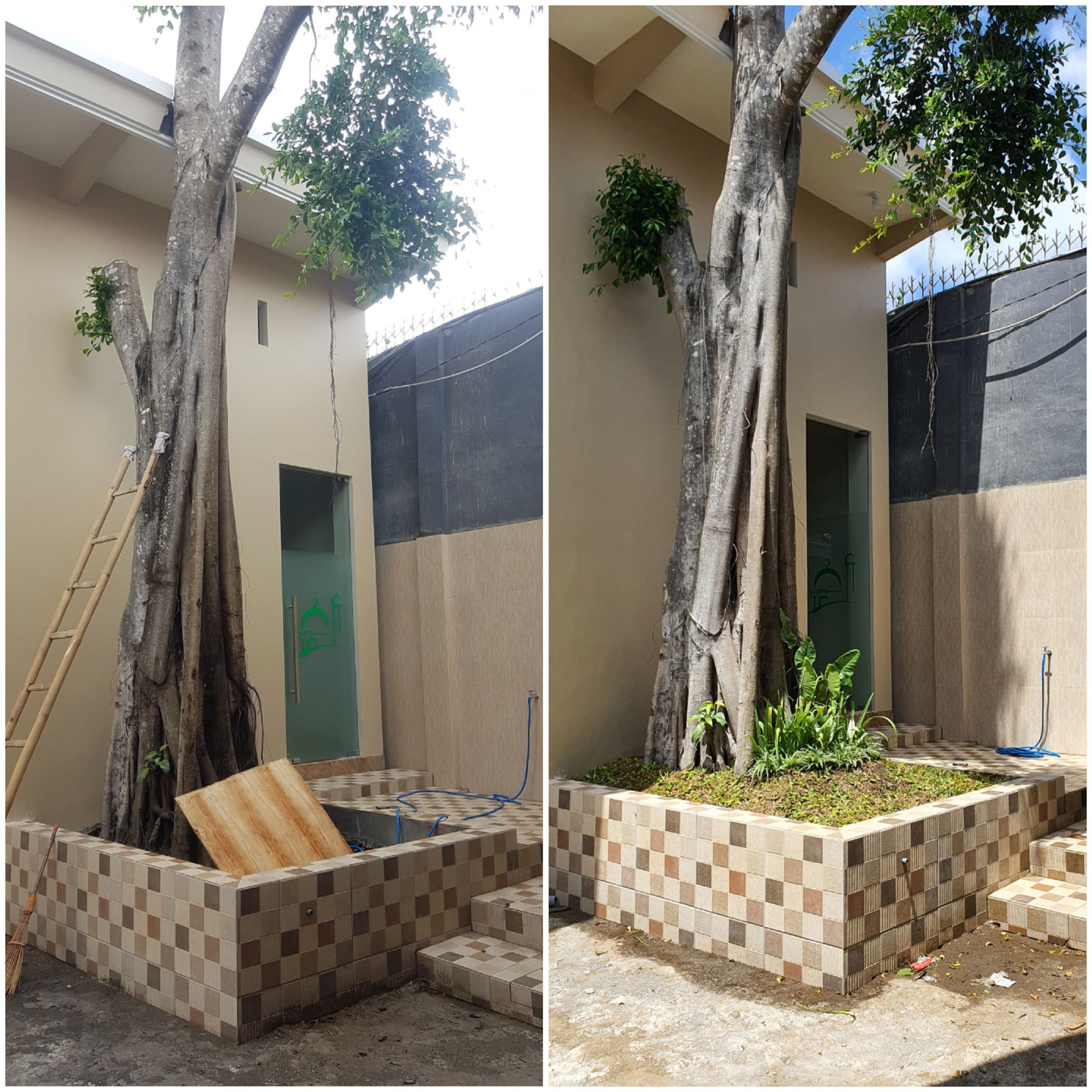 taman pohon lindung