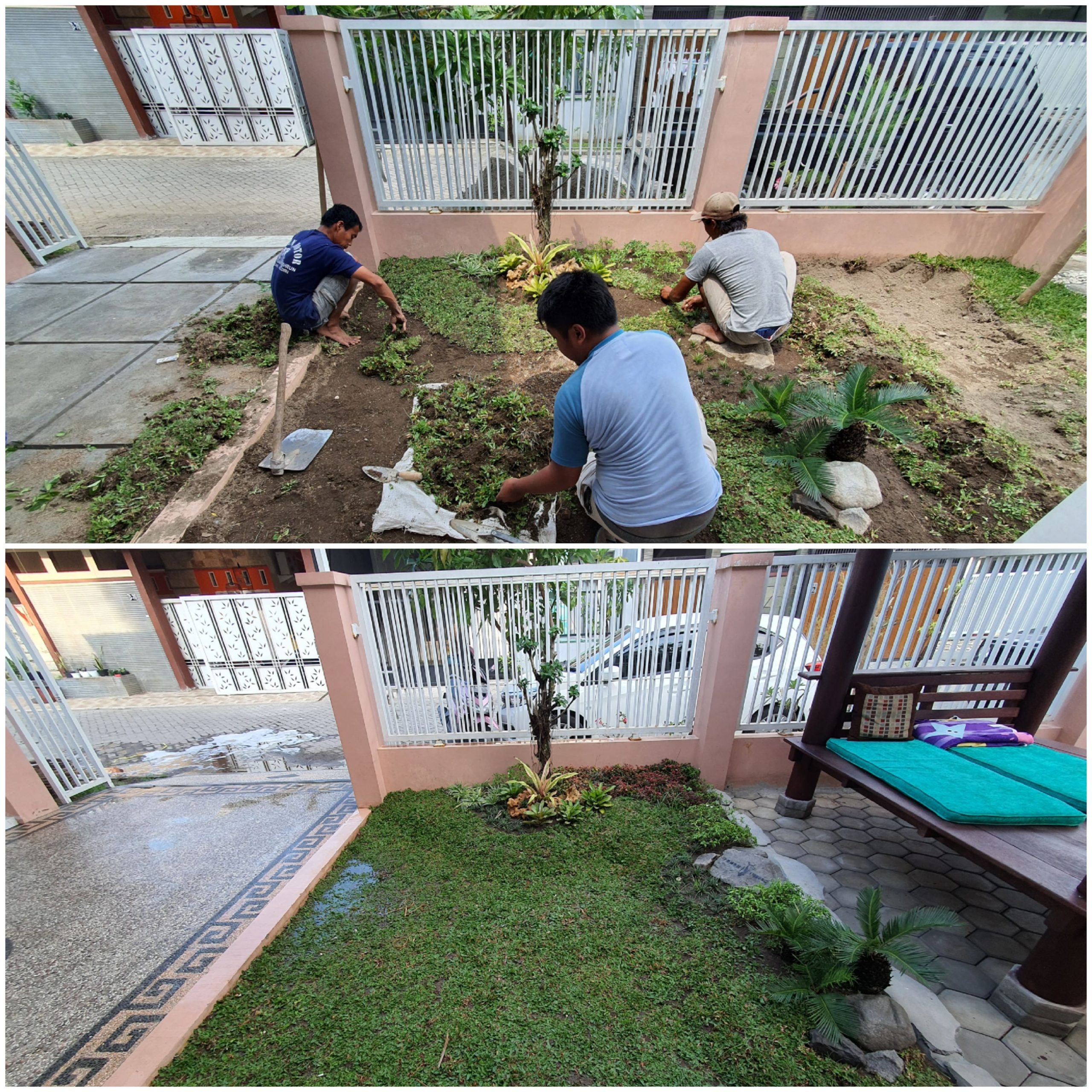 taman pohon lindung
