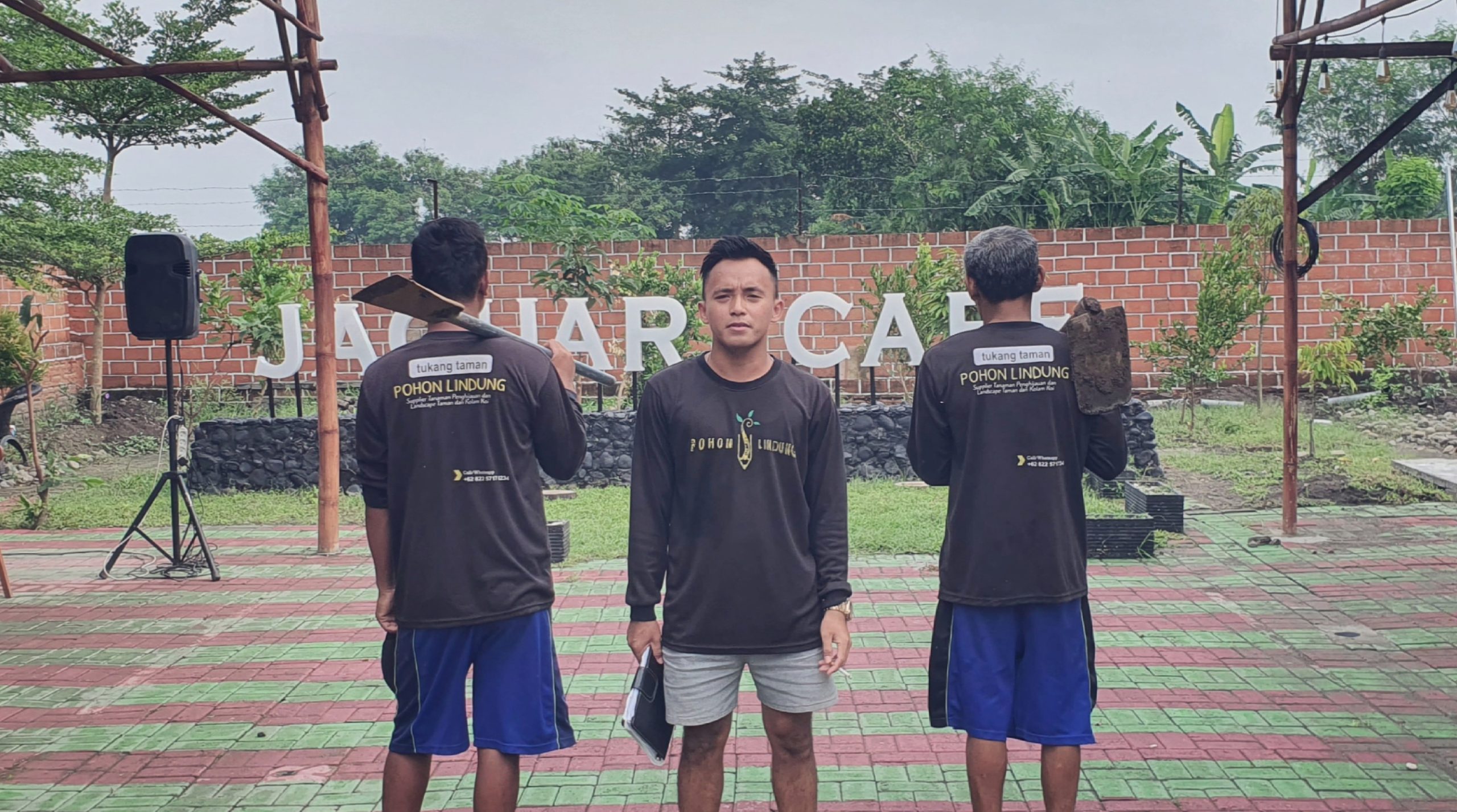 pohon lindung team
