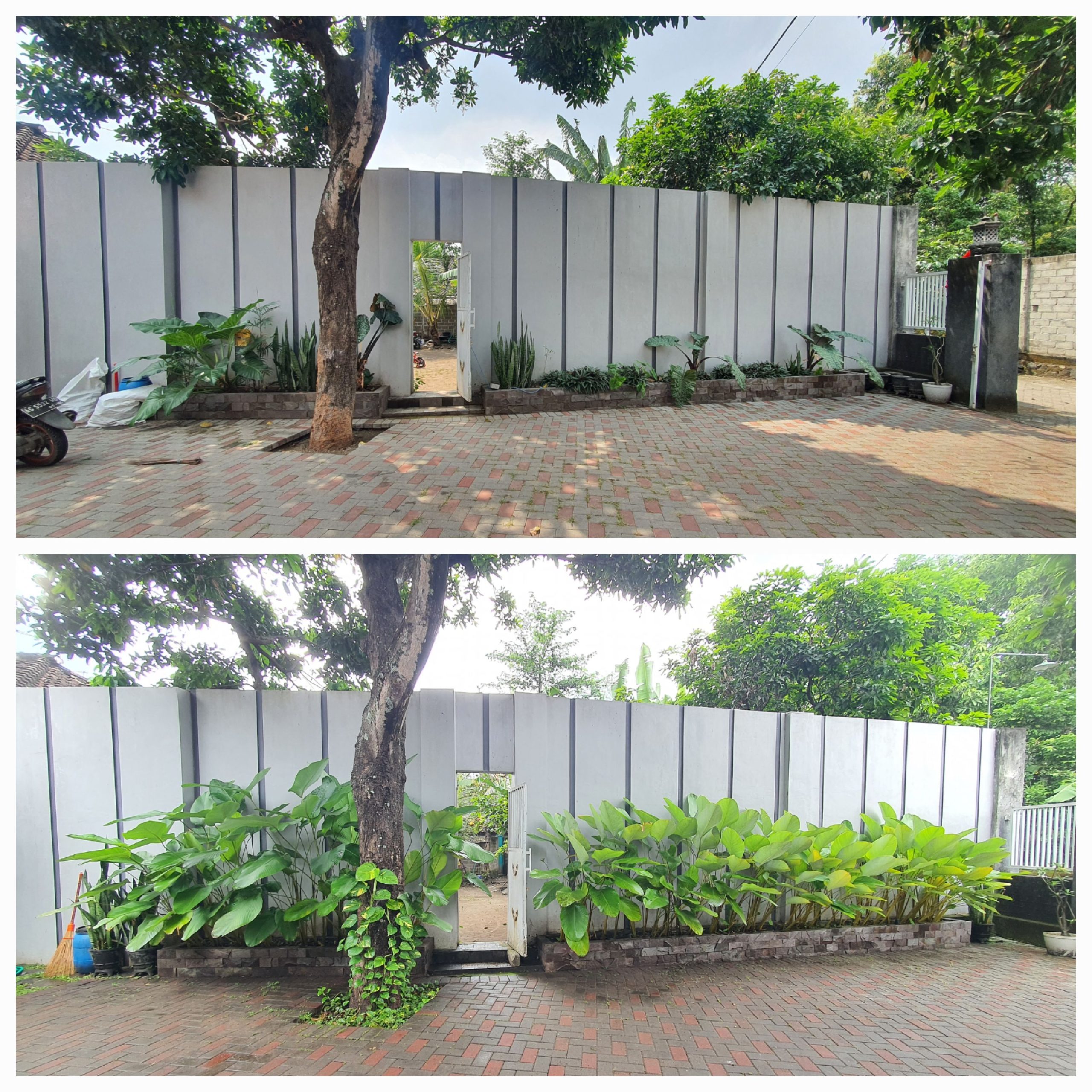 taman pohon lindung