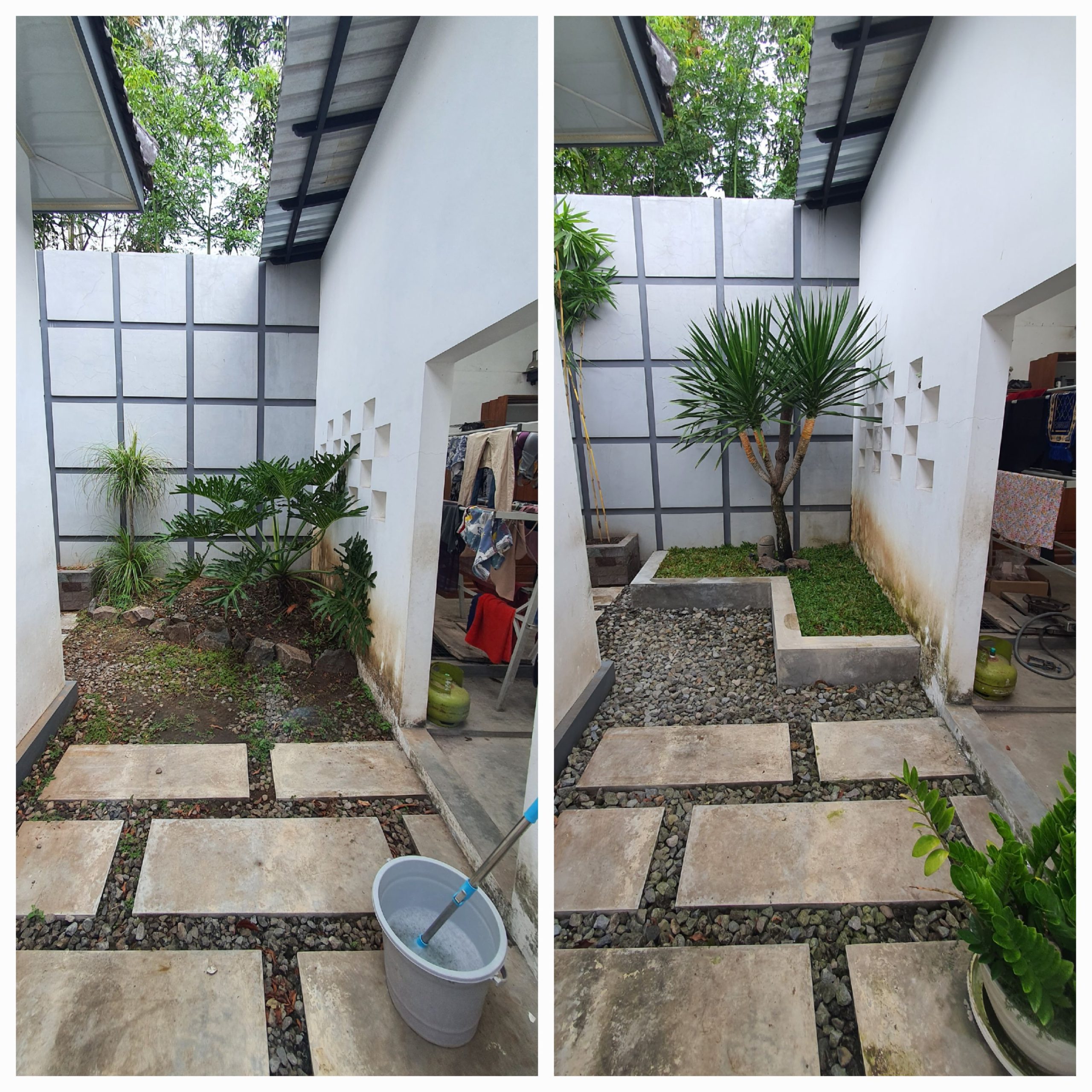 taman pohon lindung