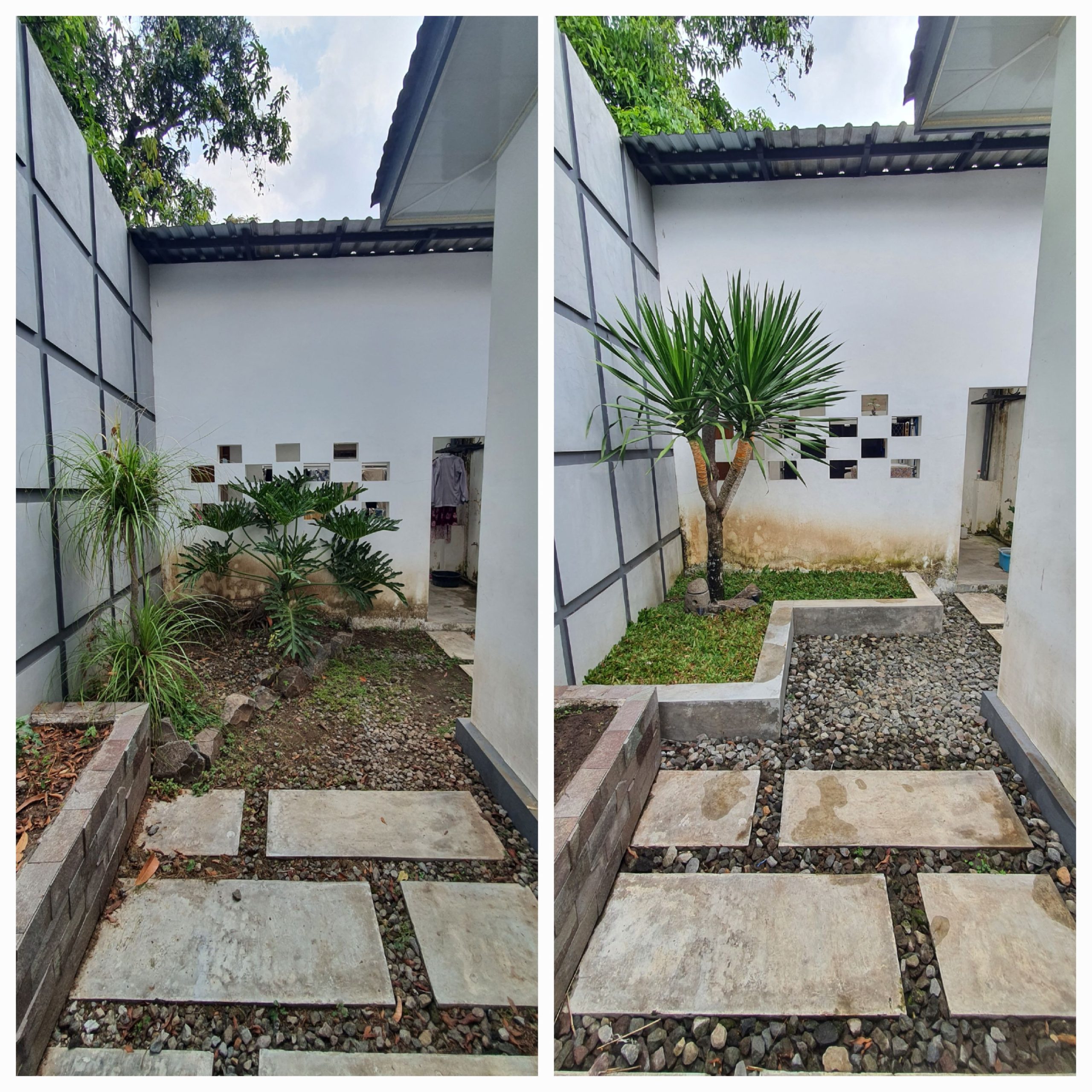 taman pohon lindung