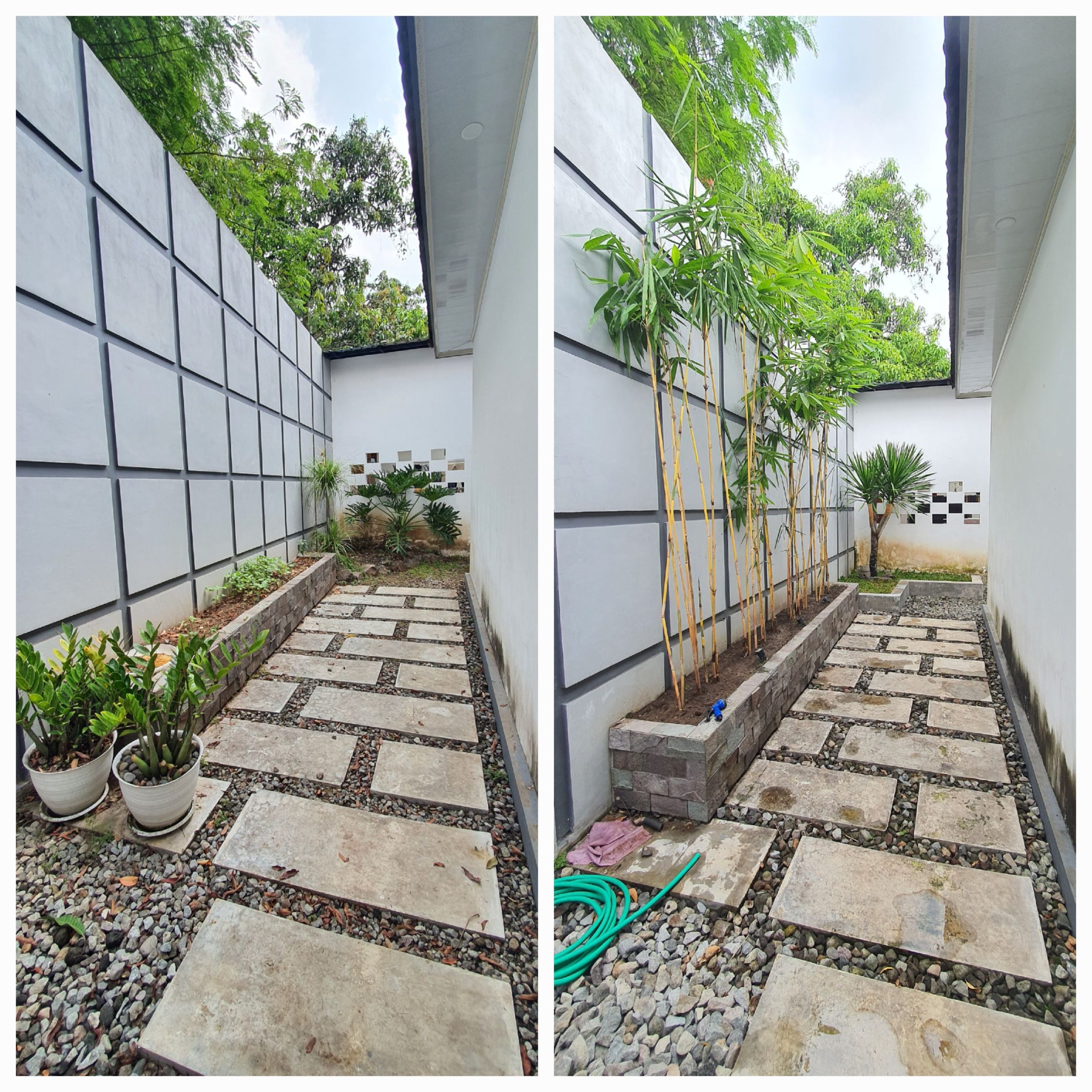 taman pohon lindung