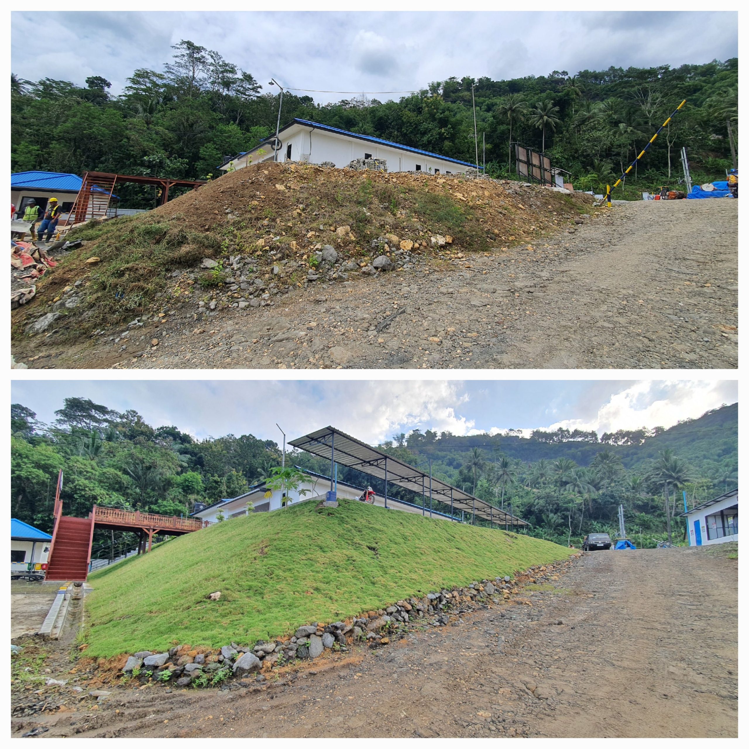 taman pohon lindung