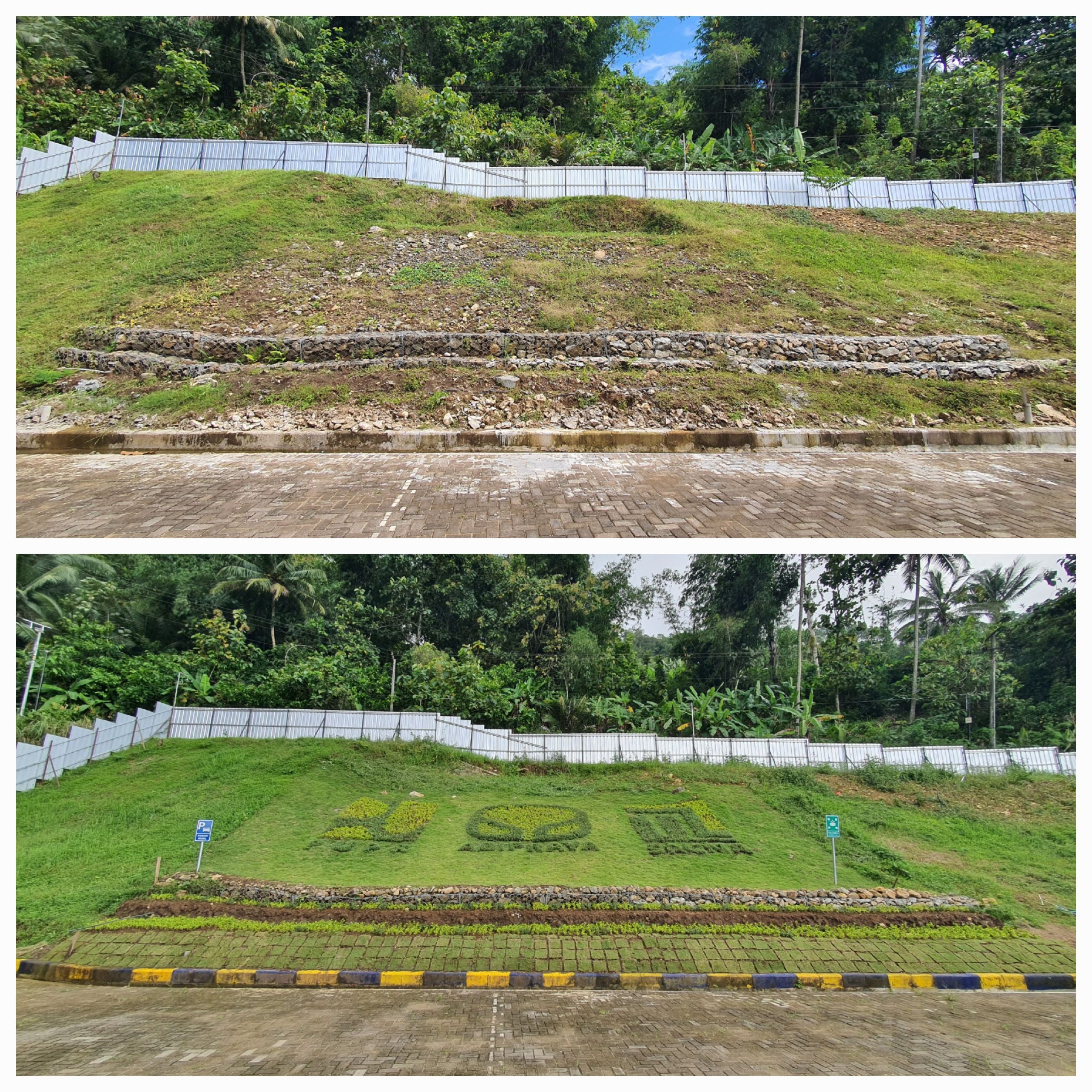 taman pohon lindung