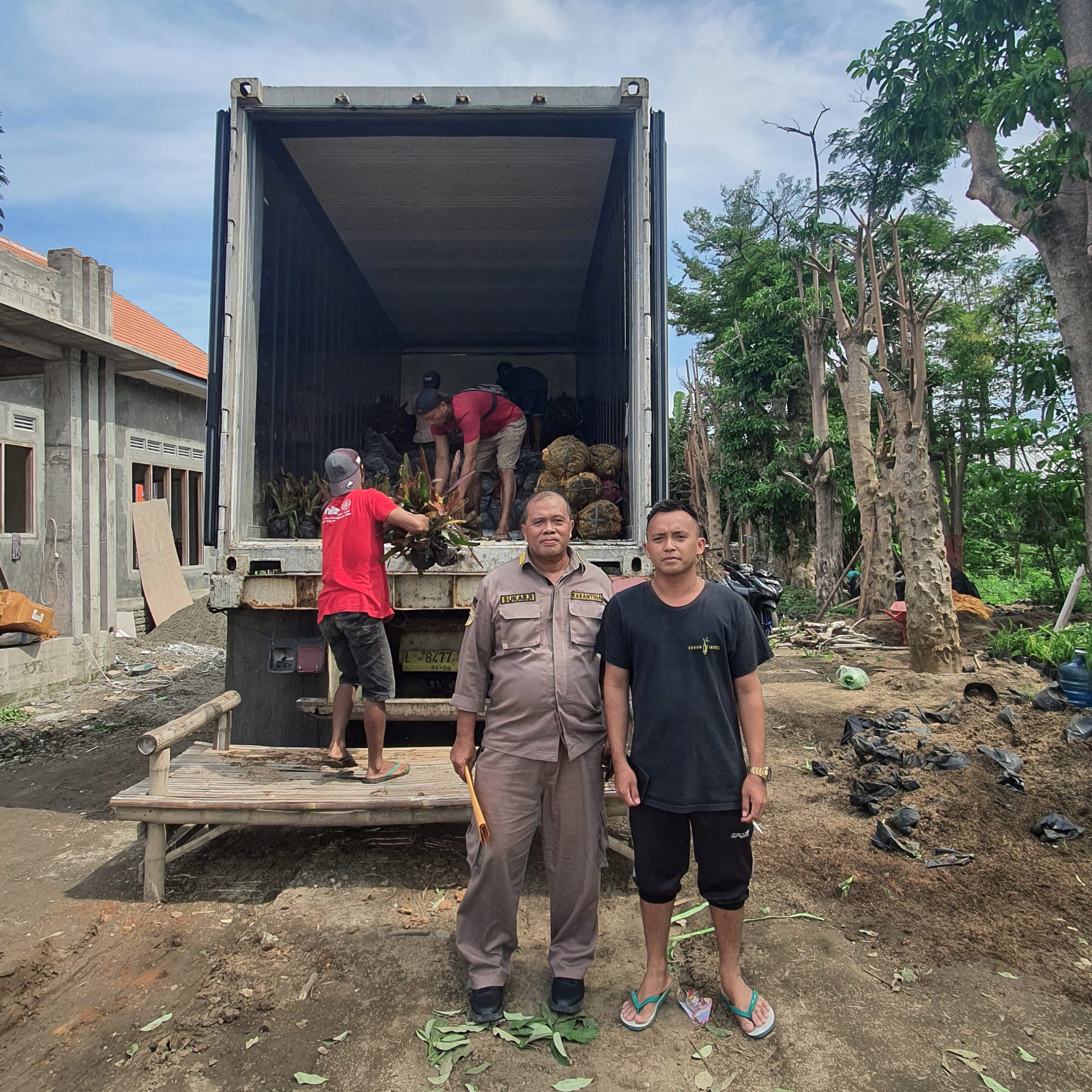 Dinas pertanian pohon lindung Dinas pertanian pohon lindung