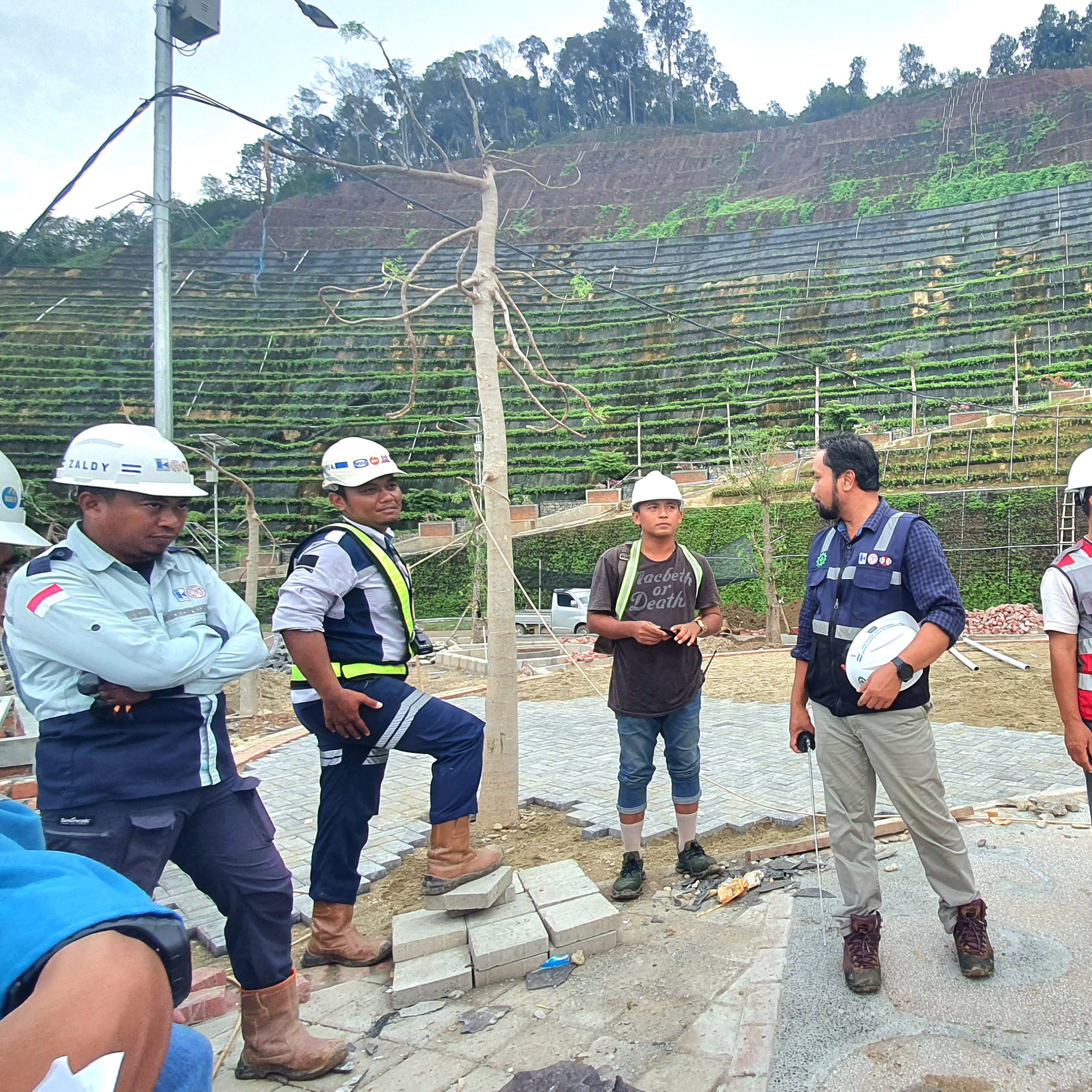 pohon lindung indra karya pohon lindung indra karya