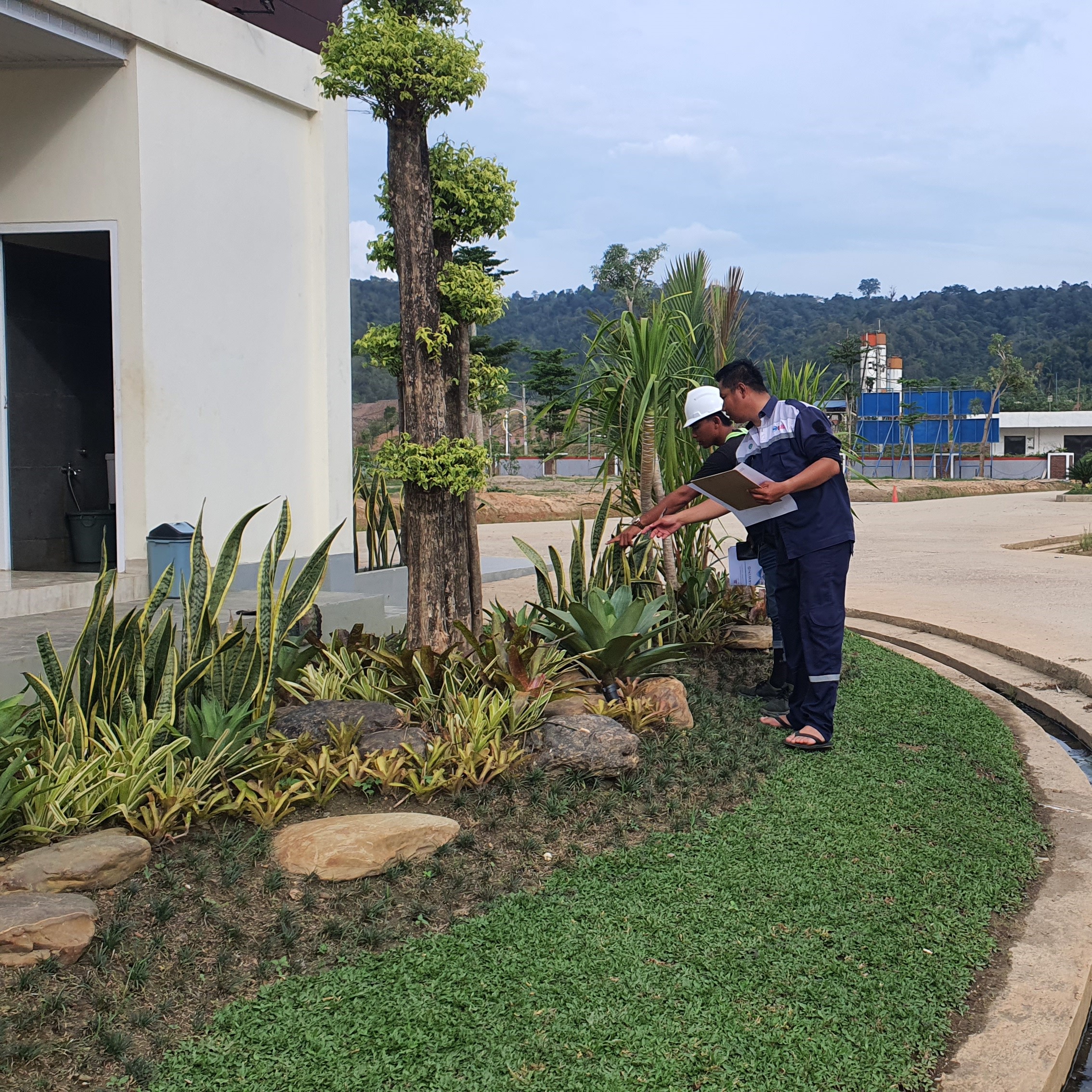 pembuatan taman pohon lindung pembuatan taman pohon lindung