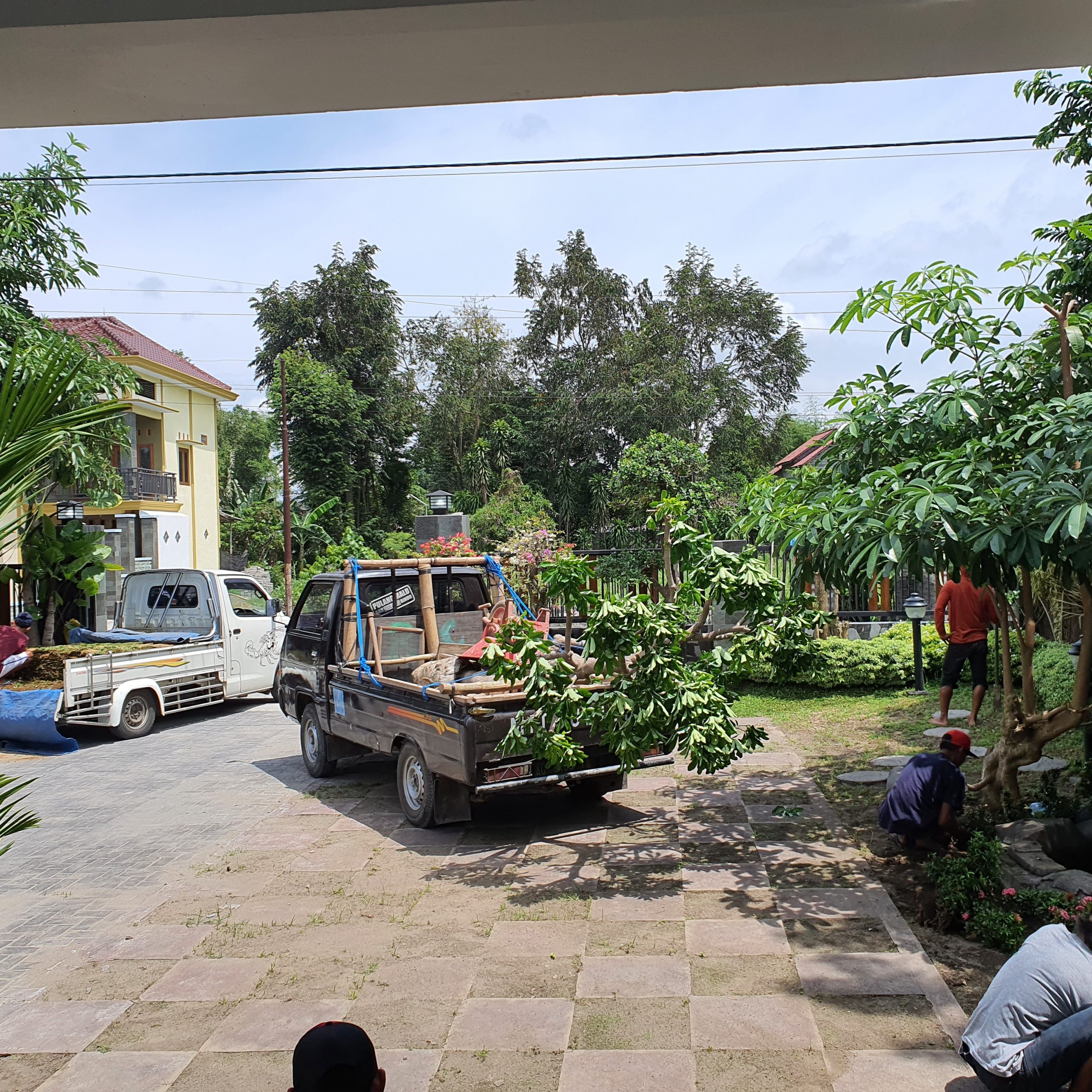 renovasi taman pohon lindung renovasi taman pohon lindung