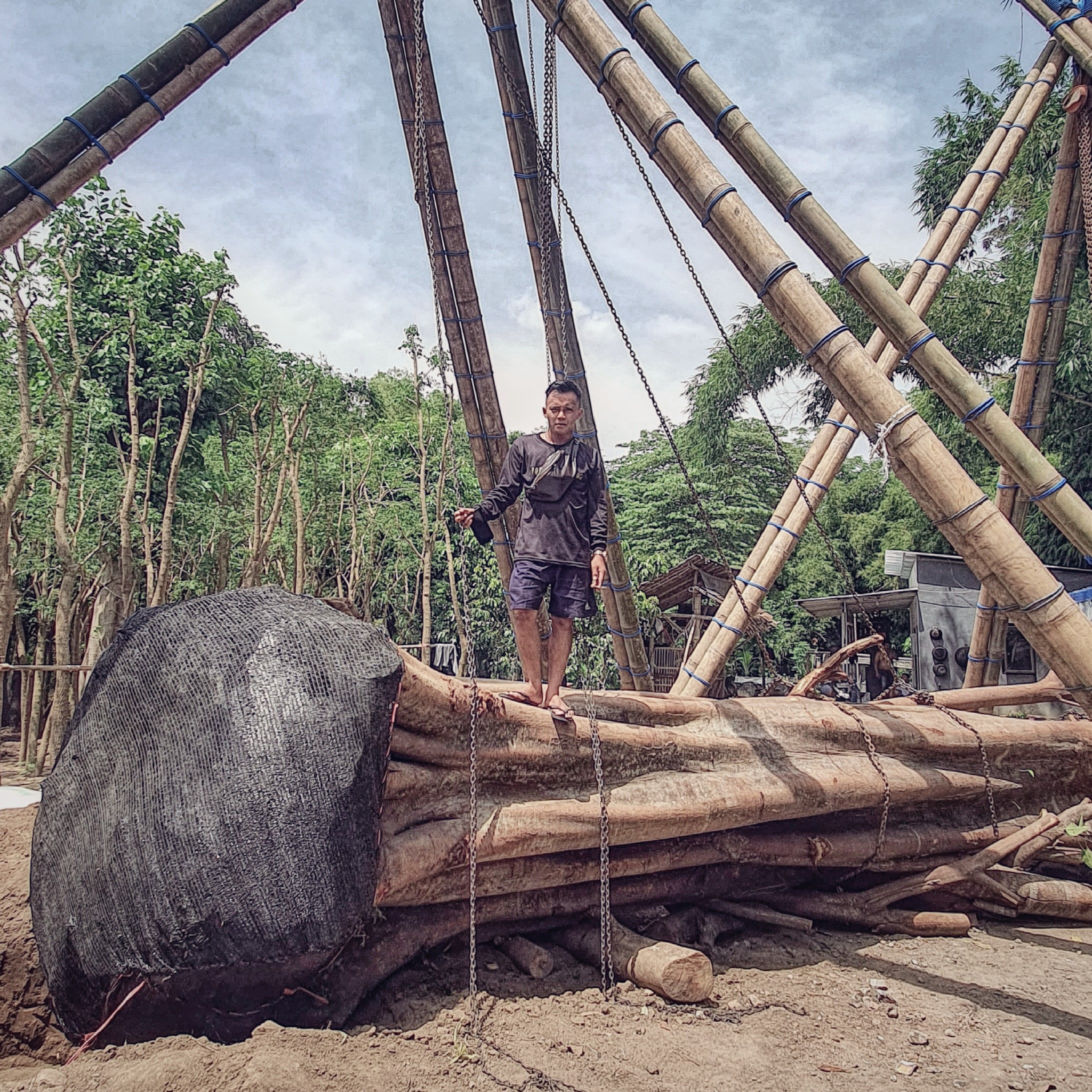 tanaman penghijauan pohon lindung tanaman penghijauan pohon lindung